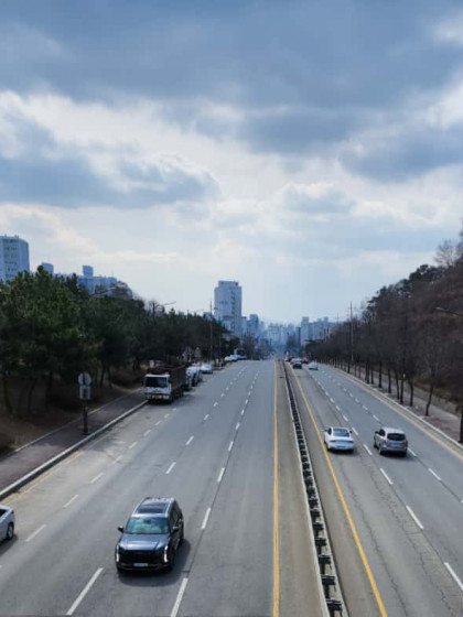 갤러리