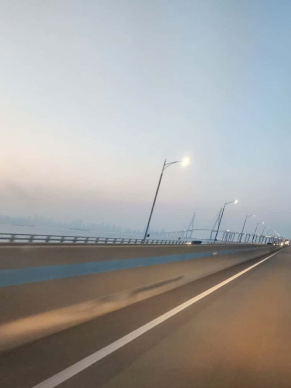 갤러리